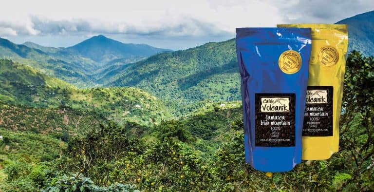 Le café blue mountain : est-ce vraiment le meilleur café au monde ?